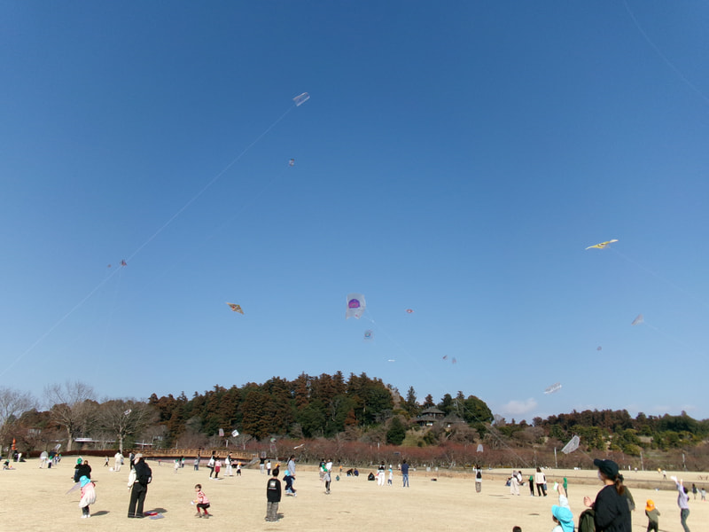 「僕のあそこだよ」「マリオ描いたんだよ」お家の方と作った凧が高くあがると、子どもだけでなくお家の方も嬉しいですね。