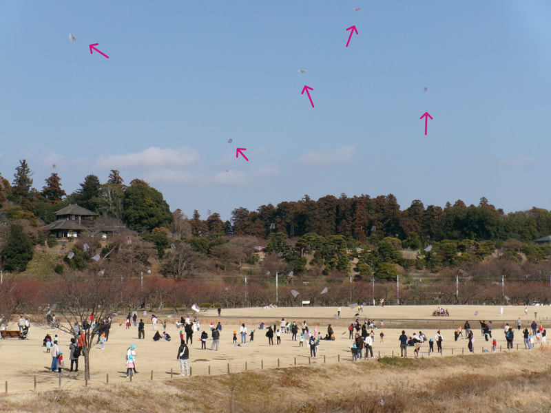 こんなに高くあがったよ（↑）