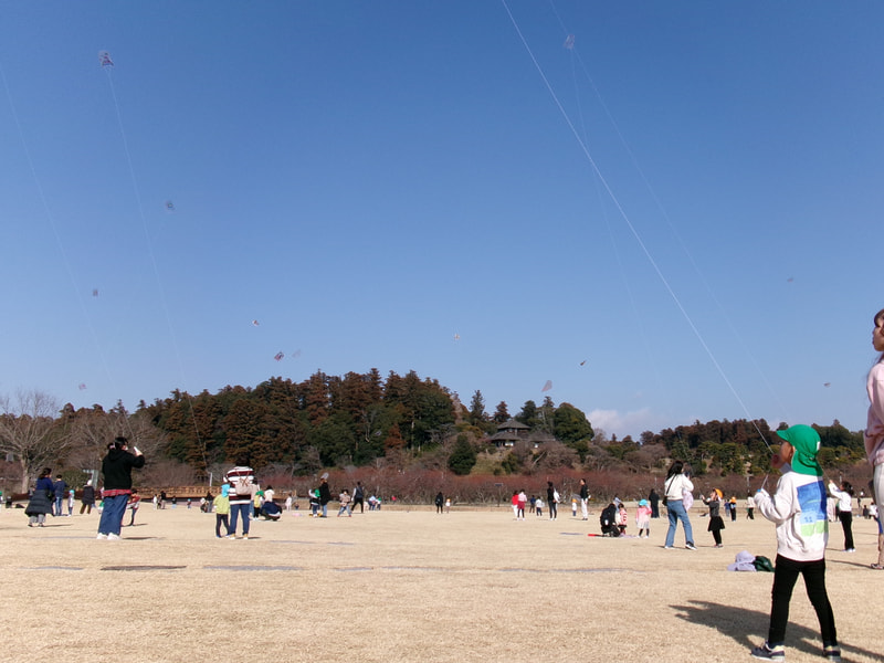 たこは どこまでいったかな？上手に操作しているね。