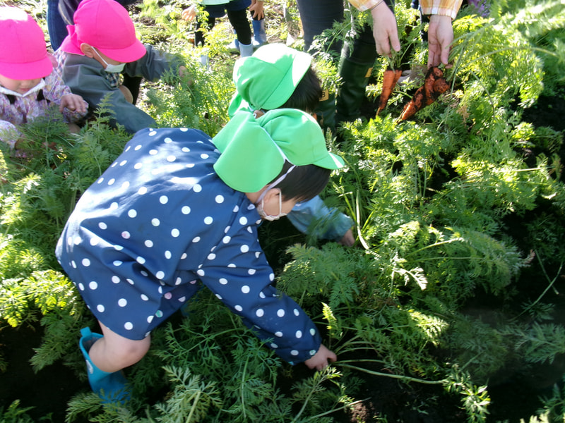よーし ここを引っ張ってみよう！