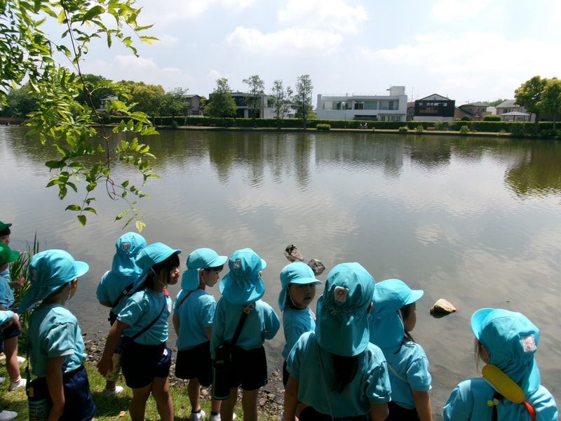かめがいた！何をしているのかな？ お天気がいいから日向ぼっこかな？