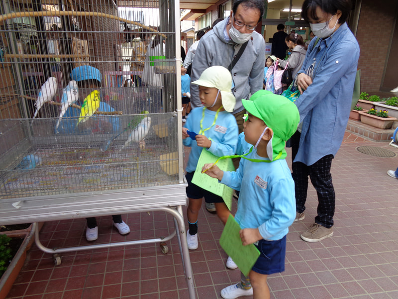 「僕のメダルのインコは誰かな？」最後にもらったメダルには幼稚園で飼っているセキセイインコの写真がついていました。インコそれぞれに名前があるので「どの子かな？」と探していました。