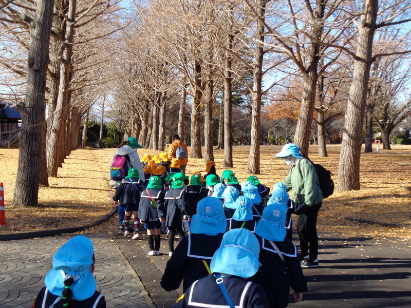 銀杏の木は はだかんぼ。代わりに黄色いじゅうたんみたいになってる！あれっ なんかにおうね。銀杏の実（ギンナン）を踏まないように歩こう。