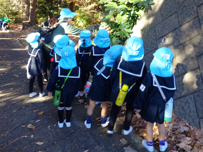 「これな～んだ」「ブロッコリーだ！」「え～っ 白いからカリフラワーじゃない？」正解はヤツデ。