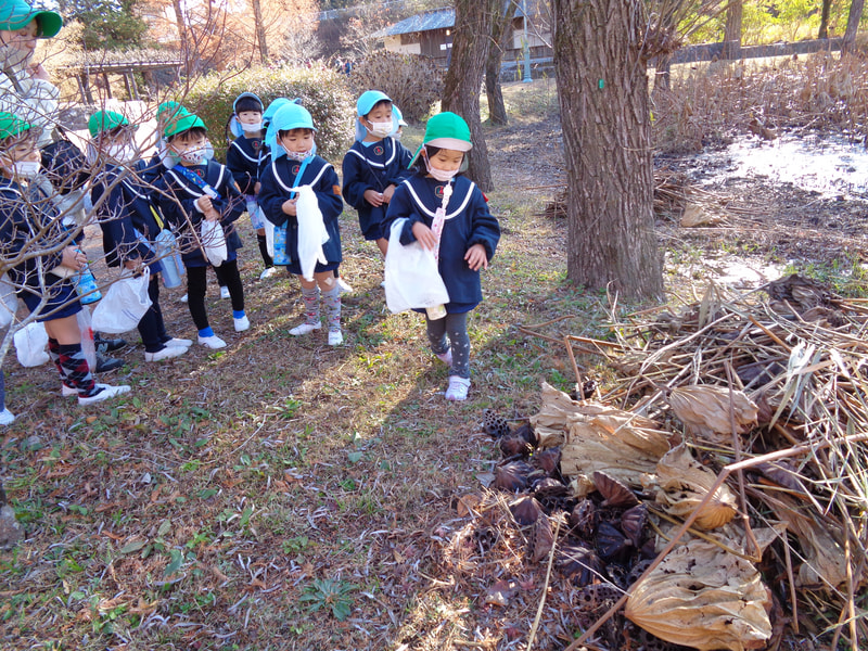 またまた、不思議なものが！ハチの巣かな？怖いけどさわってみたいな。よーく 中を見てごらん。穴はあいてないよ。