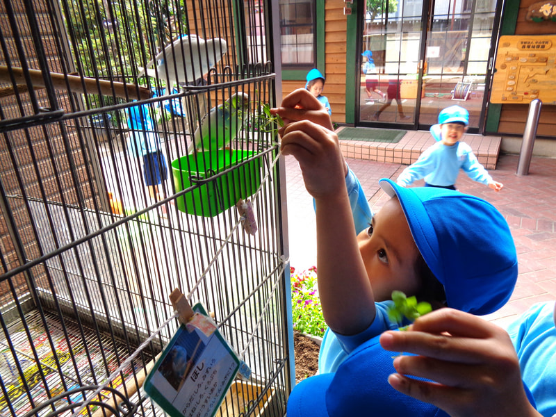 インコさん　おいしいよ。僕のも食べて！私のも！