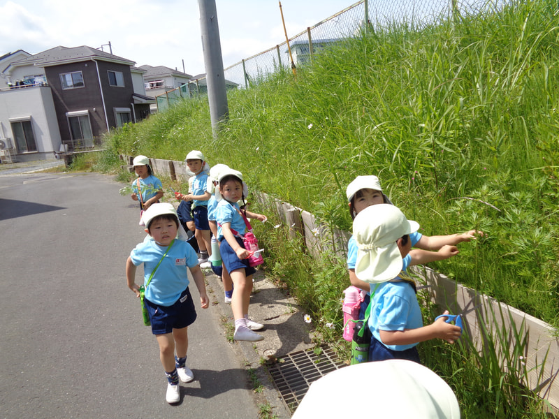 あった！後ろは白いんだよね。そう、あたり！
