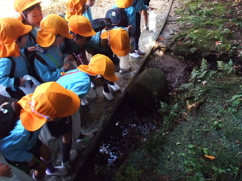 年中組は七ツ洞公園に。小さな川にサワガニがいると聞いてみんなで探してみましたが、見つかりませんでした。ざんねん！