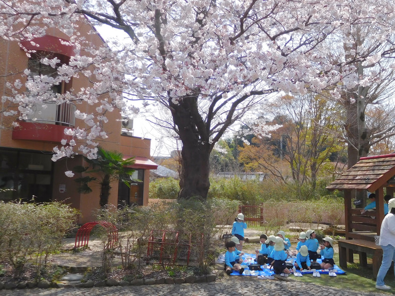 「今日はお花見なんだ」と子どもたち。初めてのお弁当はお外で食べました。