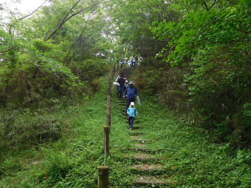 森の中を地図を頼りに歩いていきます。他の人の姿が見えないと不安になる子もいたようです。