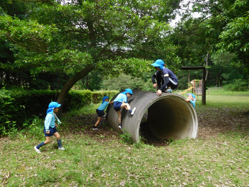 先生だけずる~い!何度も何度もチャレンジ!一人で登れた子は得意気でした。