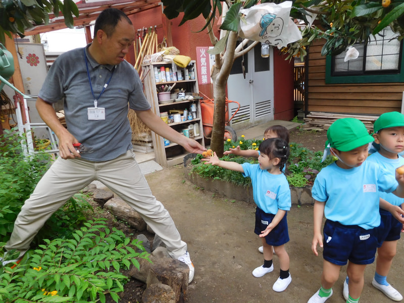 今日は、もう全部取ってしまおうと朝から収穫。