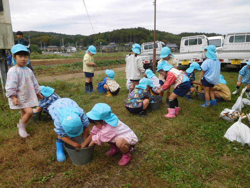 掘った後に手を洗ったけれど、「落ちな~い」。「そうそう、それはヤニって言うんだよ。」