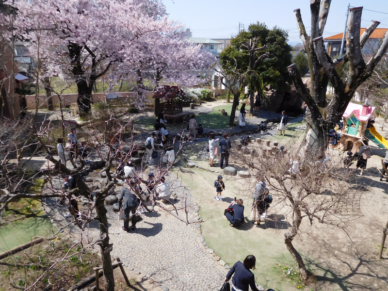 お天気もお祝いしてくれているようです