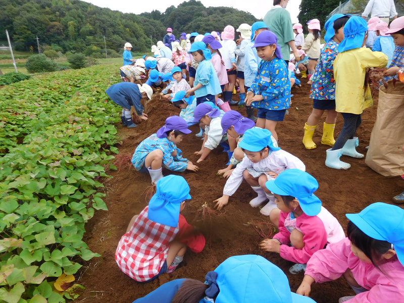 年長さんはお土産も掘ってきたよ