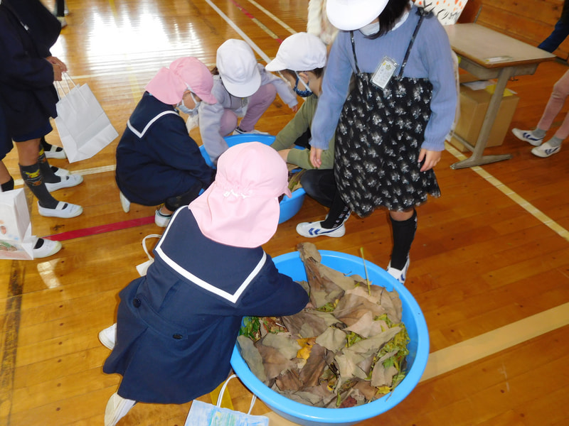 どんぐりを探そう