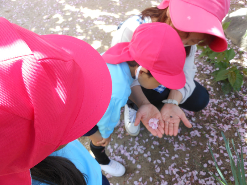 まん丸のものを発見！さあ何だろうと見ていると、動き出した！ダンゴムシだったね。