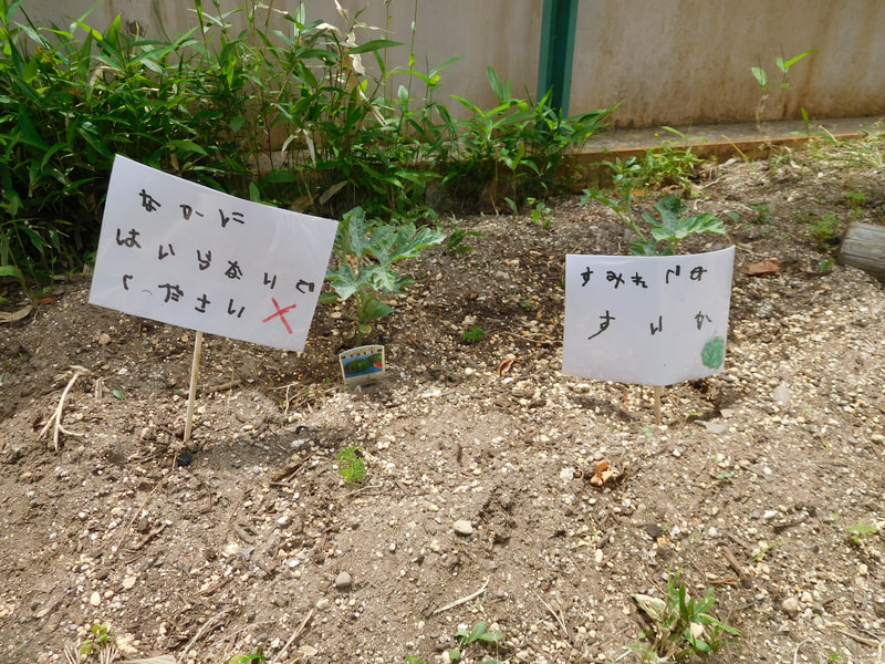 スイカはどこに植えようか