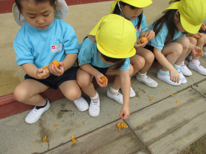どうやって食べるのかな?うわっ大きな種が出てきたよ。初めて食べる子も多かったみたい。