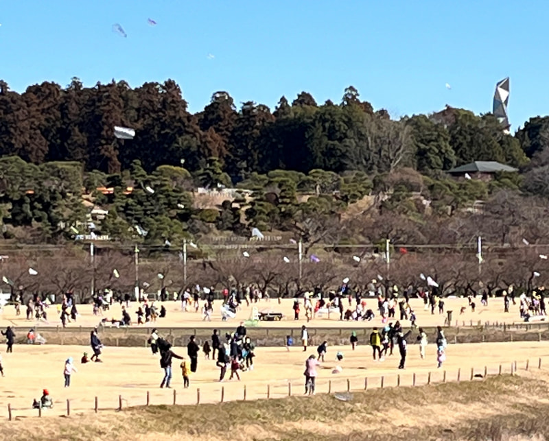 たこ？凧？タコ？