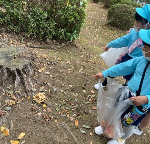 秋を探して④