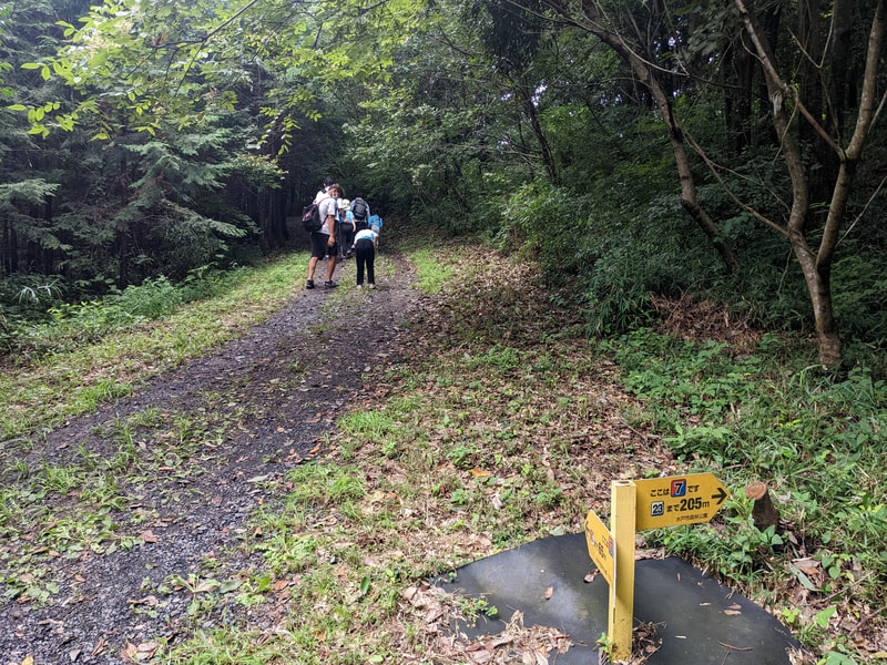 成沢トレイルに行ってきました