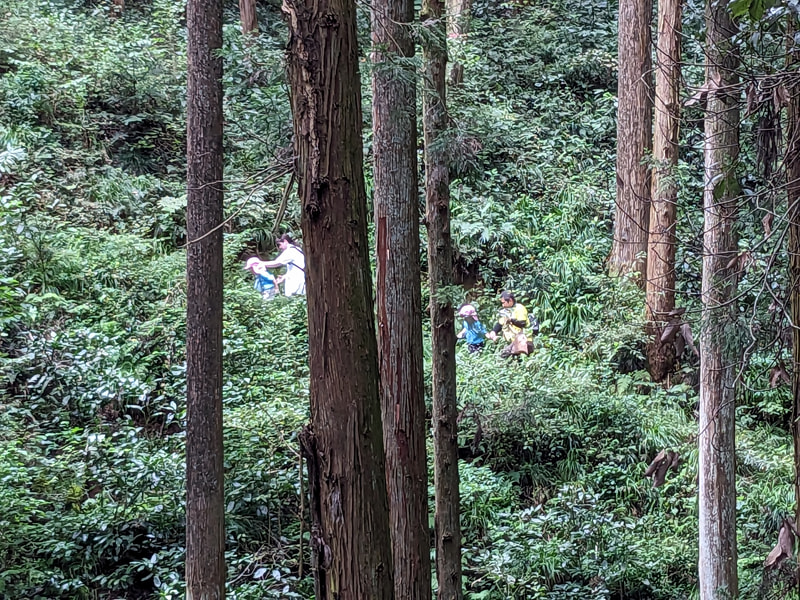 こんな山の中なんだよ