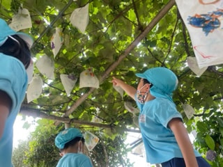 幼稚園の「ぶどう」