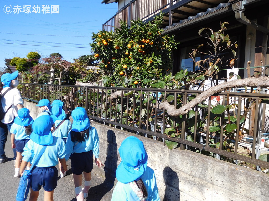 みかんがなってるね