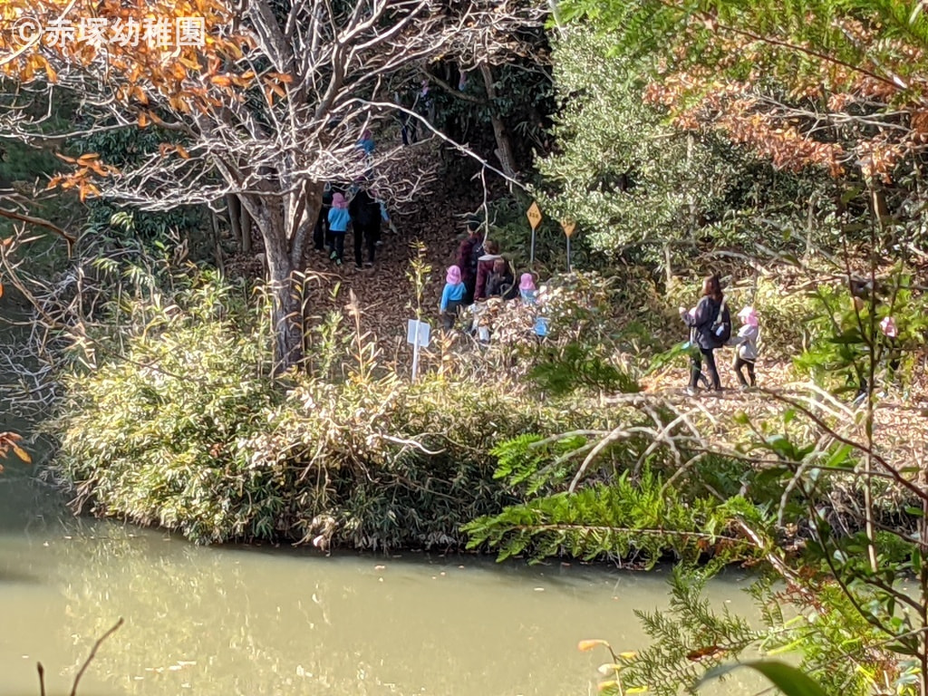 池の周りを通って