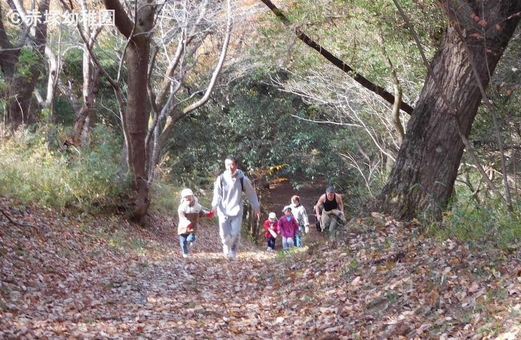 子どもは元気
