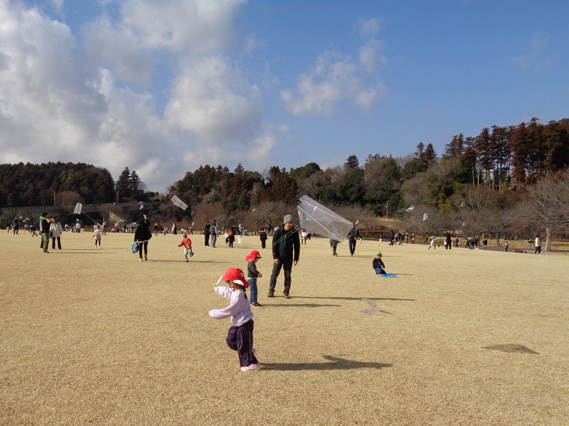 みてみて、あがってるでしょ