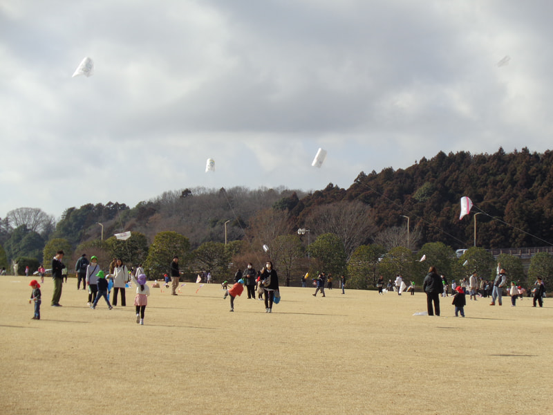 たくさんあがった！