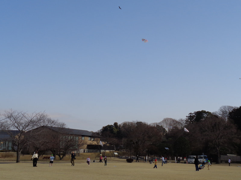 たかくあがったよ