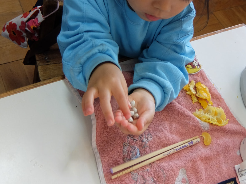 たくさんあったよ