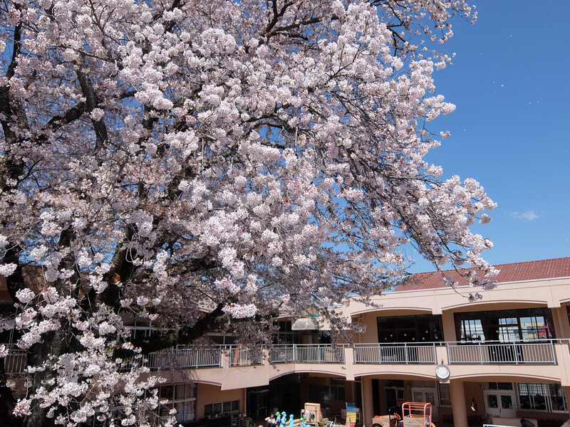 今年度の生活も楽しそうです