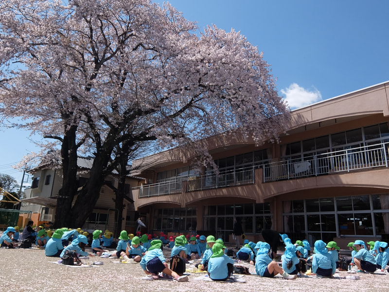 はなびらもきれいだね