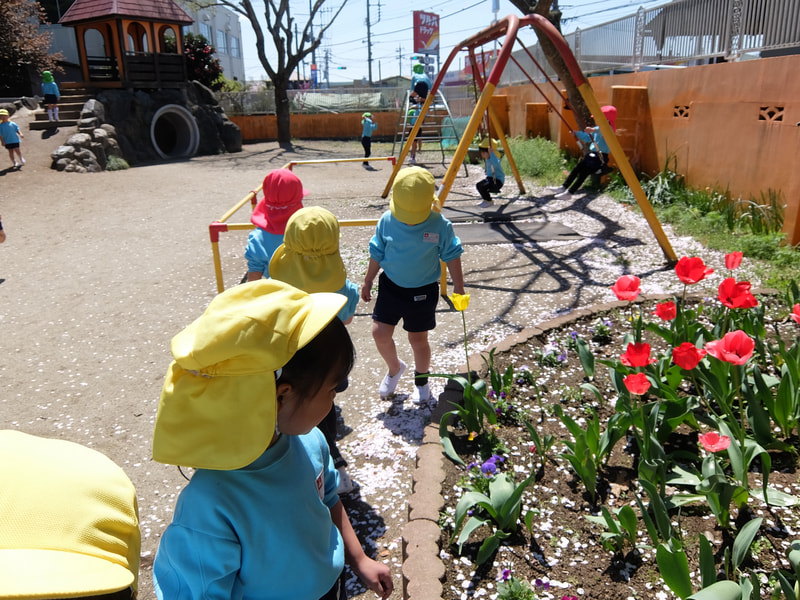 チューリップもさいてるね