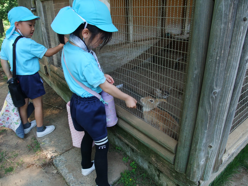 葉っぱ　おいしい？