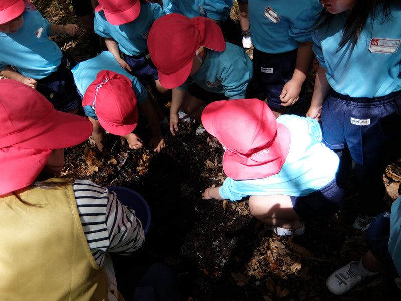 いた？　いないなぁ