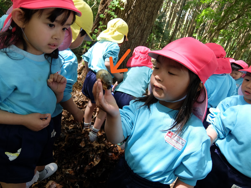 ほら、みてみて