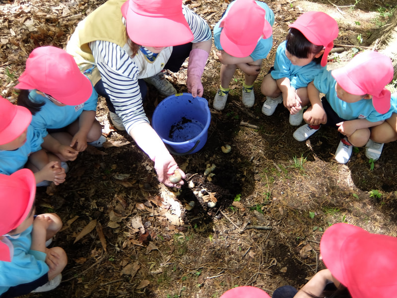 たくさんいたね