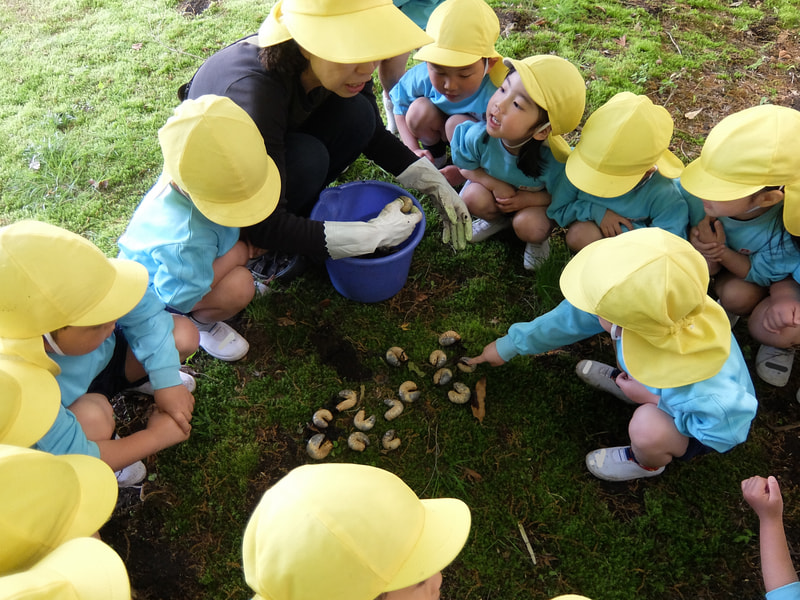 かぞえてみよう