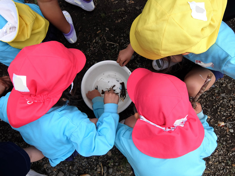 さわりたいよ　もちたいな