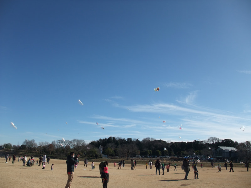 青い空にたくさんの凧が揚がりました