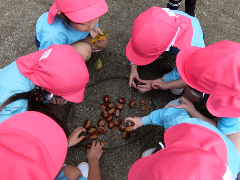 たくさんあったよ