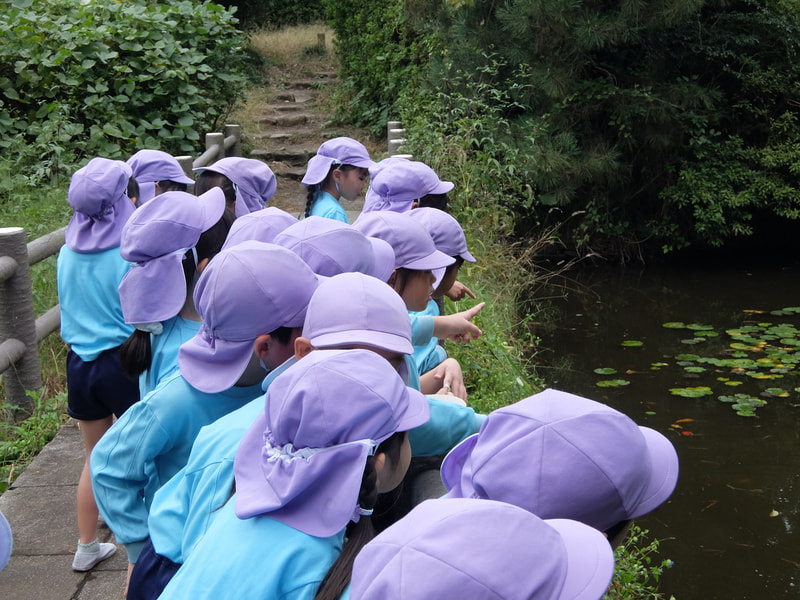 池にいるのは何かな