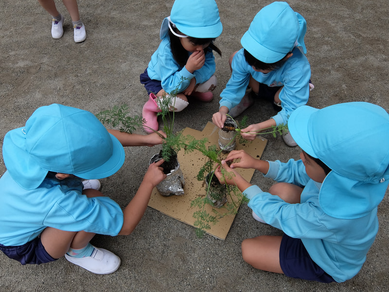 どんなニンジンかなぁ