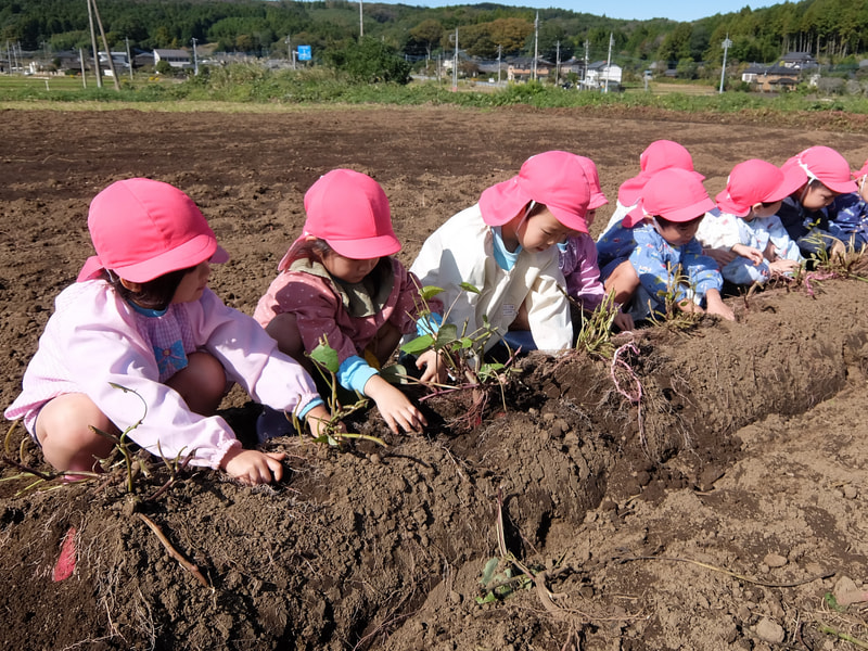 おイモがあるのに ぬけないなぁ