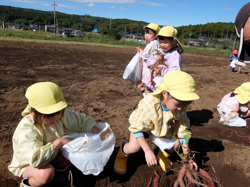やった 掘れたよ